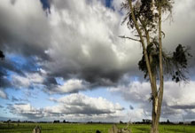 九游官网：跟队记者：琼托利正面临严厉批评，他的风险和莫塔一样.