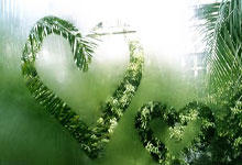 九游官网：阿方索经纪人：我和马希沟通了多次，我们将全力保障球员康复.