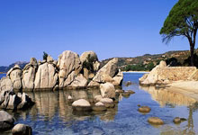 九游官网：[德甲]贝克尔收获良机 禁区内轻松推射破门.